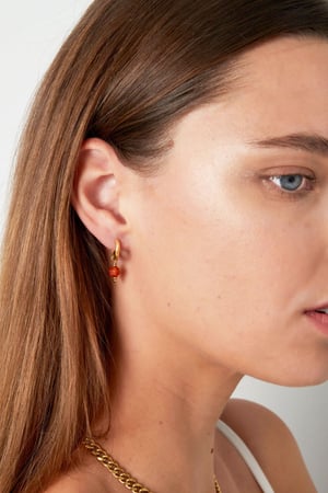 Boucles d'Couleur oreilles avec pierre January - Couleur or/marron h5 Image3